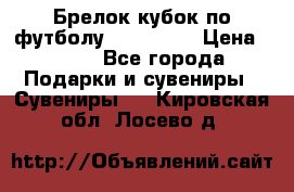 Брелок кубок по футболу Fifa 2018 › Цена ­ 399 - Все города Подарки и сувениры » Сувениры   . Кировская обл.,Лосево д.